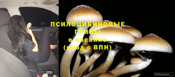 мяу мяу мука Нефтегорск
