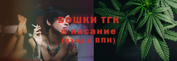 дмт Нея