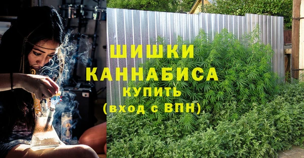 дмт Нея