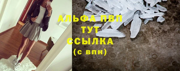 дмт Нея