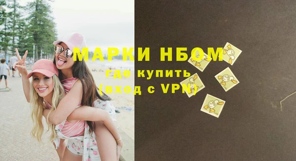 дмт Нея