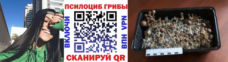 Псилоцибиновые грибы MAGIC MUSHROOMS  Анадырь 